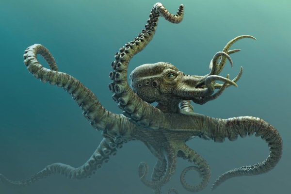 Kraken 15at сайт